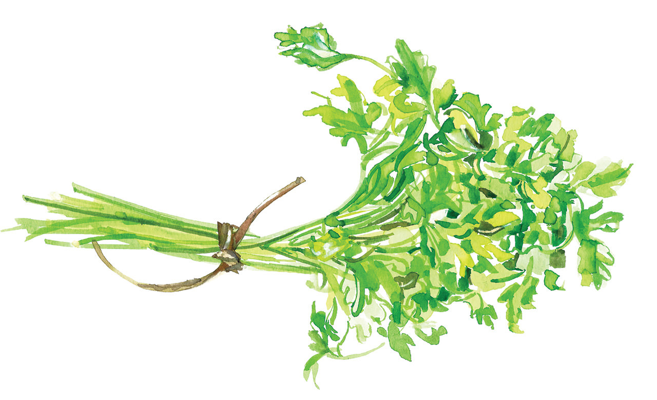 Bunch Of Parsley © Annabel Lee